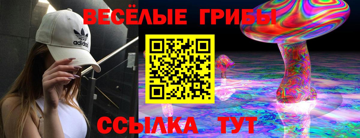 Псилоцибиновые грибы Cubensis  Галлюциногенные грибы Psilocybe  Фролово  Вход с VPN 